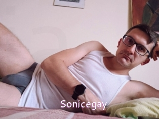 Sonicegay