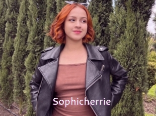 Sophicherrie