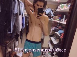 Stevejensenexperience