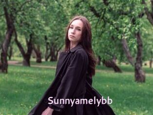 Sunnyamelybb