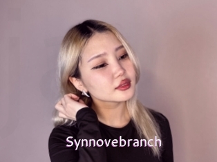 Synnovebranch