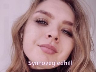 Synnovegledhill