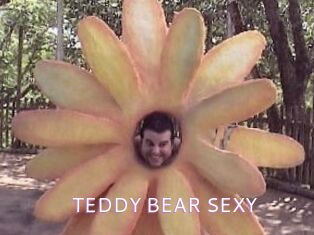 TEDDY_BEAR_SEXY