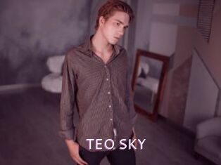 TEO_SKY