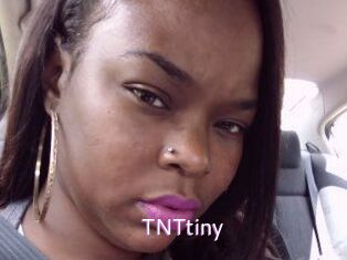 T_N_Ttiny