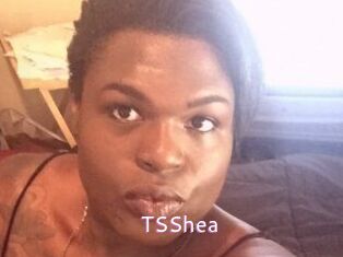 TS_Shea