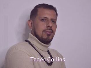 TadeoCollins