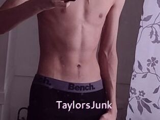 TaylorsJunk