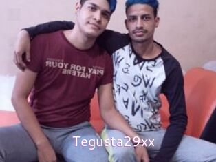 Tegusta29xx