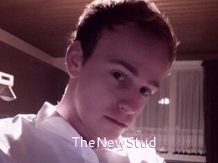 TheNewStud