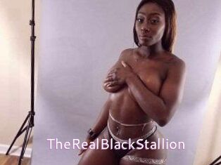 TheRealBlackStallion