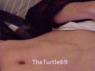 TheTurtle69