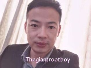 Thegiantrootboy