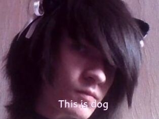 This_is_dog