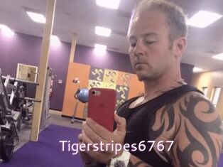 Tigerstripes6767