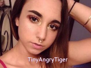 TinyAngryTiger