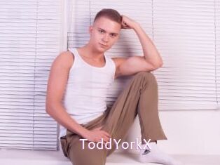 ToddYorkX