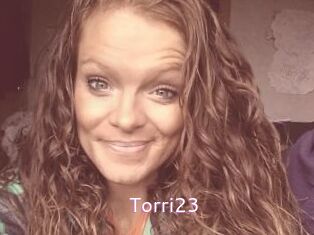 Torri23