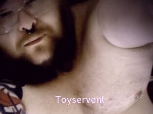 Toyservent