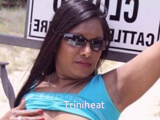 Triniheat