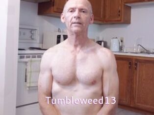 Tumbleweed13 Just Amateurs