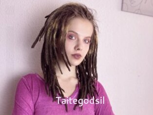 Taitegodsil