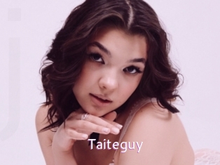 Taiteguy