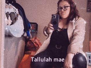 Tallulah_mae