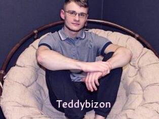 Teddybizon