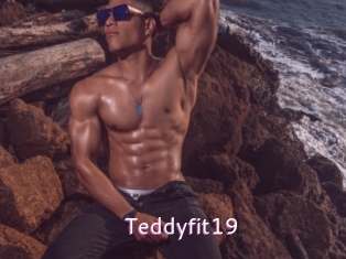 Teddyfit19