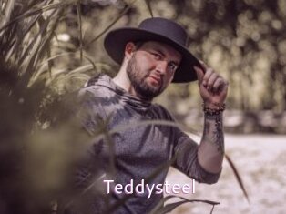 Teddysteel