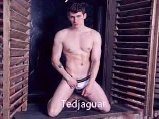 Tedjaguar