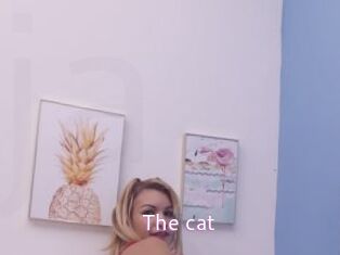 The_cat