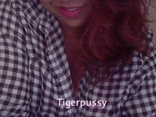 Tigerpussy