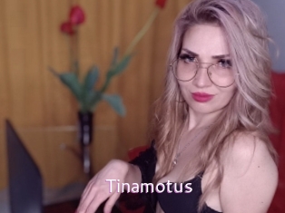 tinamotus Just Amateurs