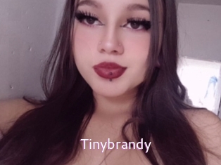 Tinybrandy