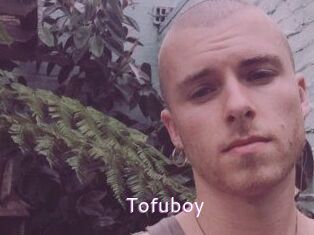 Tofu_boy