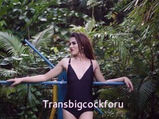 Transbigcockforu