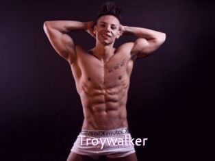 Troywalker