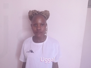 Uggal