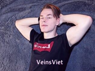 VeinsViet