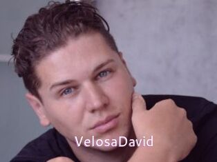 VelosaDavid