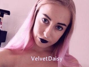 VelvetDaisy