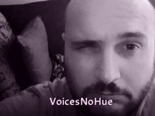 VoicesNoHue