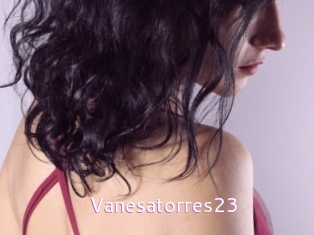 Vanesatorres23