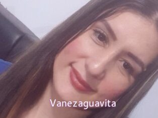 Vanezaguavita