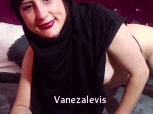 Vanezalevis