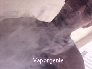 Vapor_genie