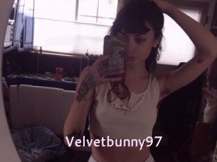 Velvetbunny97