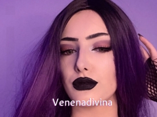 Venenadivina